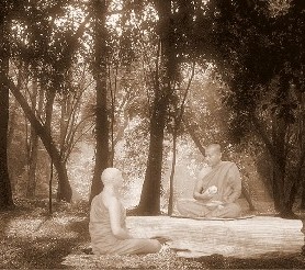 monjes budistas en la selva