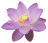 loto